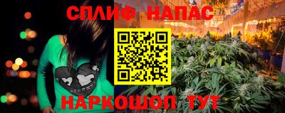 сатива Аргун