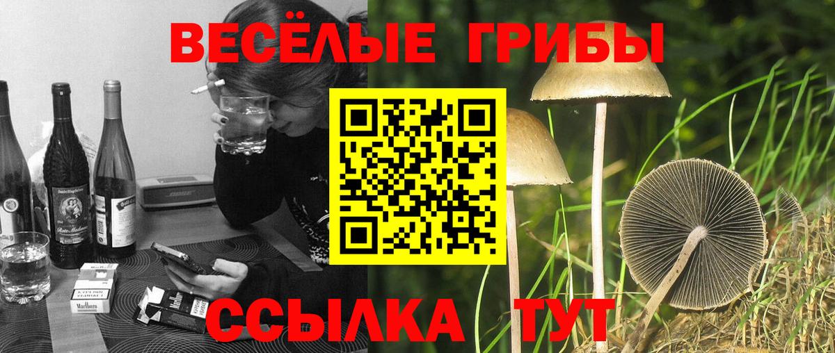 Галлюциногенные грибы Magic Shrooms Краснодар