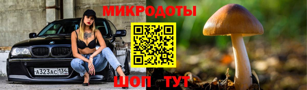 Краснодар  что такое наркотик  Вход с VPN  Галлюциногенные грибы Psilocybine cubensis 